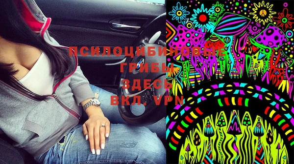 хмурый Вяземский