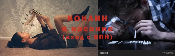 стафф Вязьма