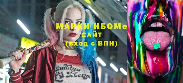 стафф Вязьма