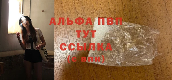 стафф Вязьма
