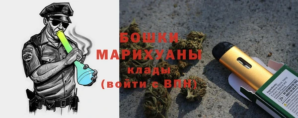 хмурый Вяземский
